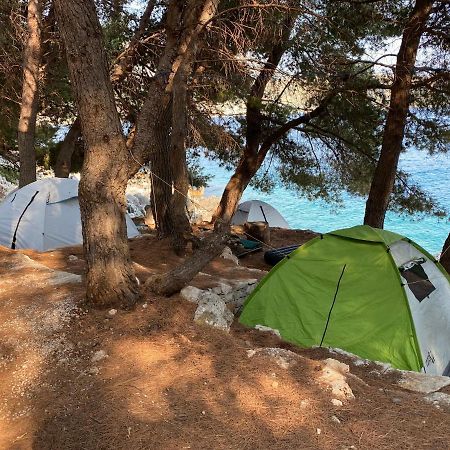 ホテル Pine Side Camp ヒマラ エクステリア 写真