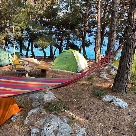 ホテル Pine Side Camp ヒマラ エクステリア 写真