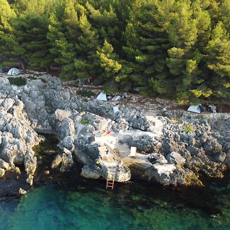 ホテル Pine Side Camp ヒマラ エクステリア 写真