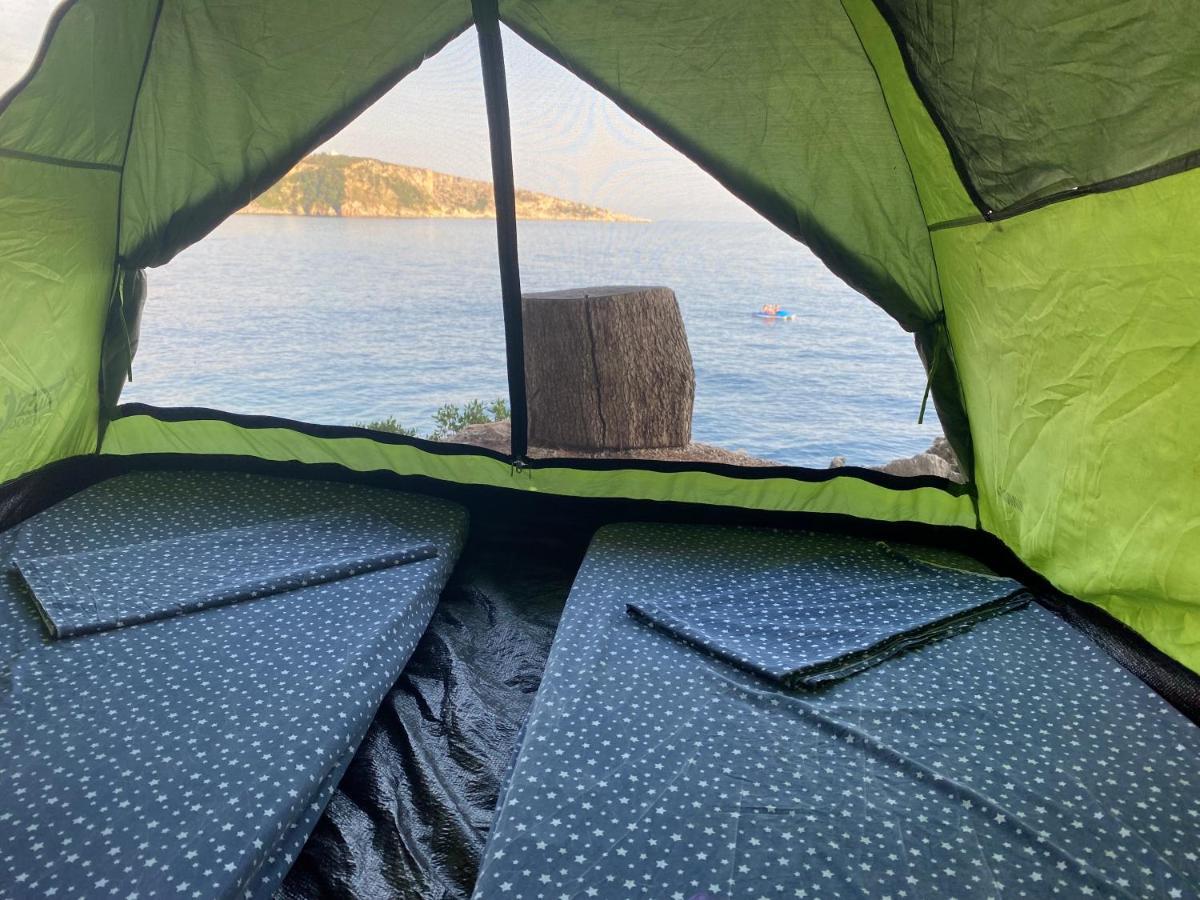 ホテル Pine Side Camp ヒマラ エクステリア 写真