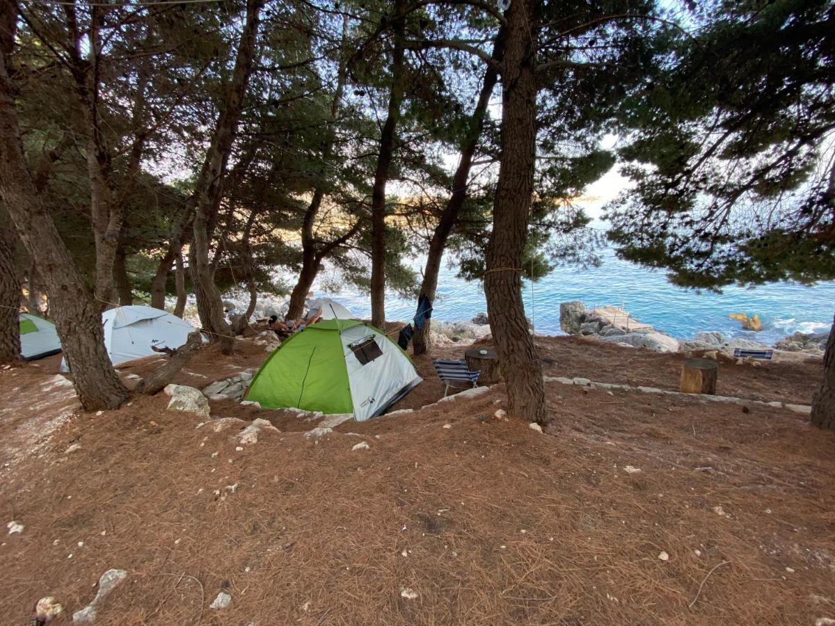 ホテル Pine Side Camp ヒマラ エクステリア 写真