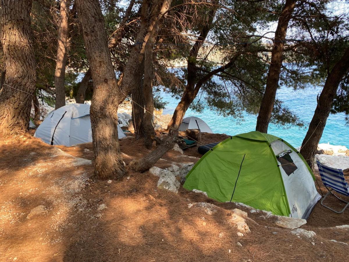 ホテル Pine Side Camp ヒマラ エクステリア 写真