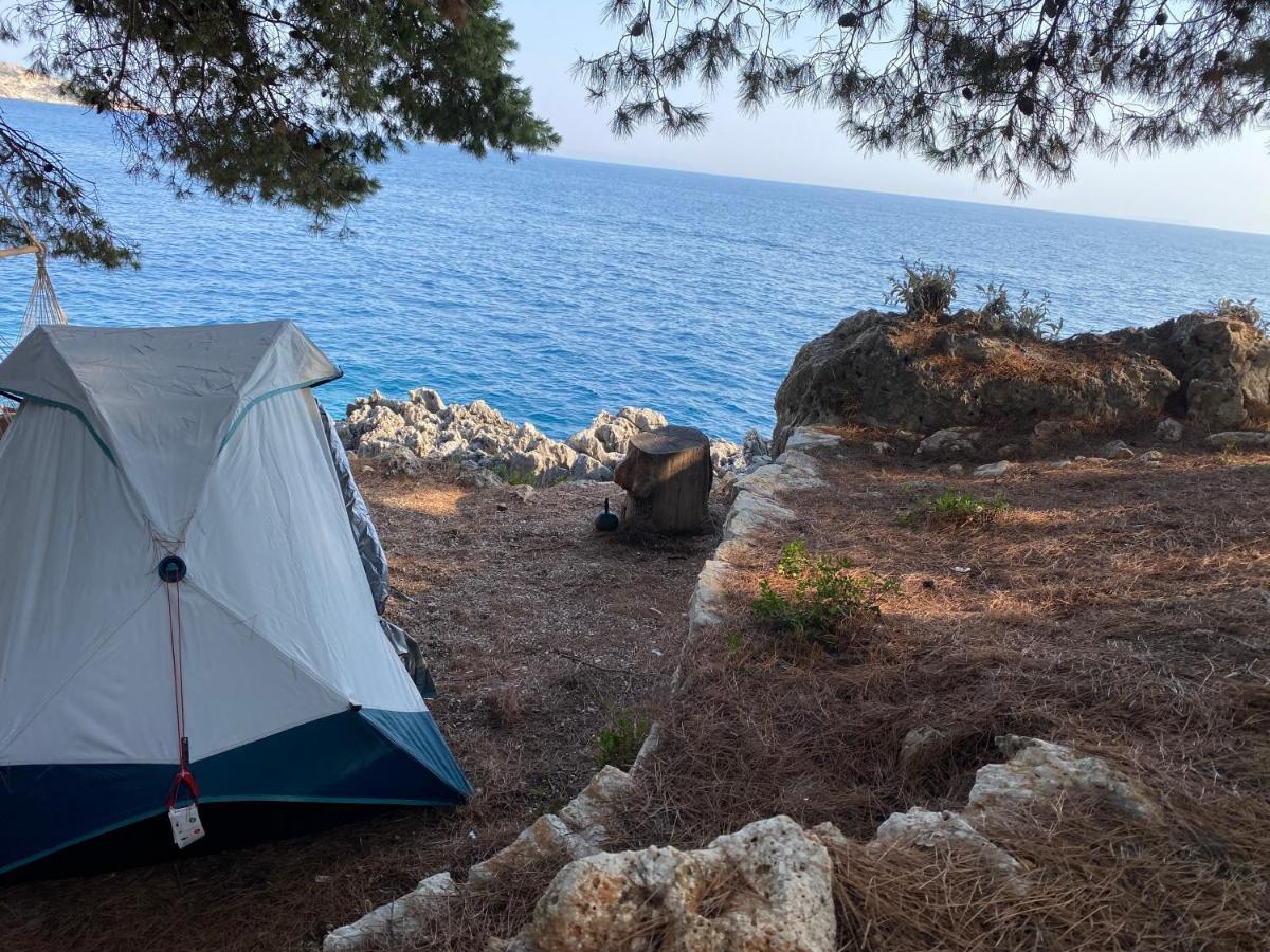 ホテル Pine Side Camp ヒマラ エクステリア 写真