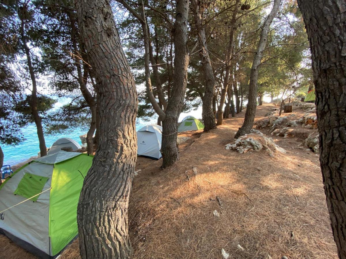 ホテル Pine Side Camp ヒマラ エクステリア 写真