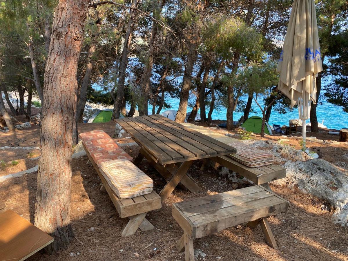 ホテル Pine Side Camp ヒマラ エクステリア 写真