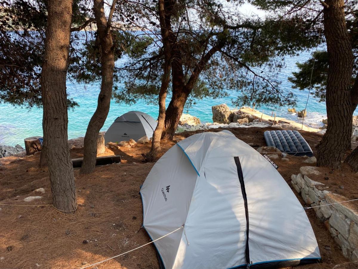 ホテル Pine Side Camp ヒマラ エクステリア 写真