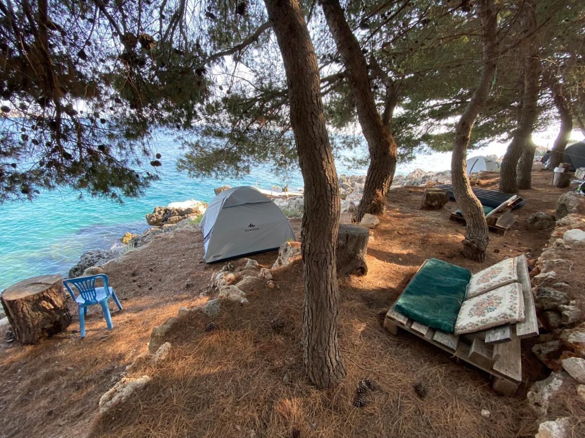 ホテル Pine Side Camp ヒマラ エクステリア 写真
