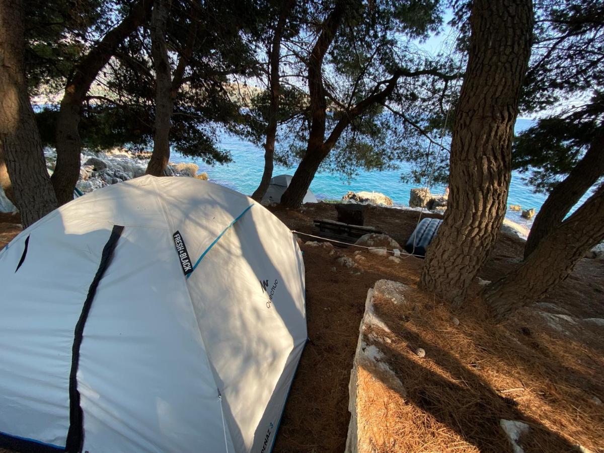 ホテル Pine Side Camp ヒマラ エクステリア 写真