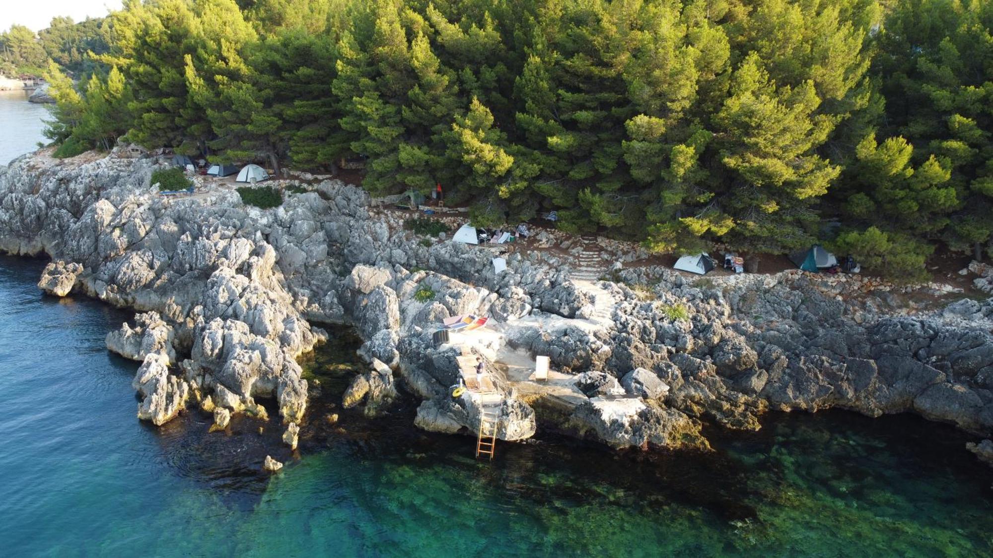 ホテル Pine Side Camp ヒマラ エクステリア 写真